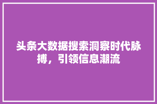 头条大数据搜索洞察时代脉搏，引领信息潮流