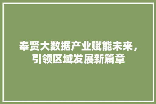 奉贤大数据产业赋能未来，引领区域发展新篇章