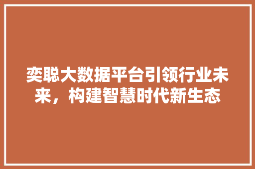 奕聪大数据平台引领行业未来，构建智慧时代新生态