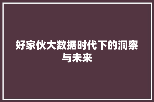 好家伙大数据时代下的洞察与未来