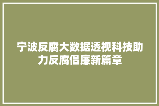 宁波反腐大数据透视科技助力反腐倡廉新篇章