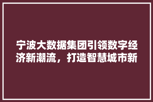 宁波大数据集团引领数字经济新潮流，打造智慧城市新标杆