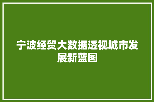 宁波经贸大数据透视城市发展新蓝图