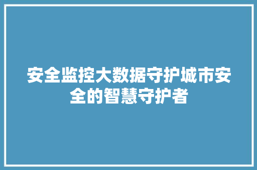 安全监控大数据守护城市安全的智慧守护者