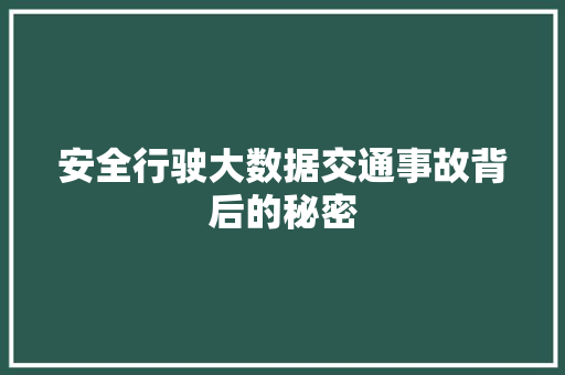 安全行驶大数据交通事故背后的秘密