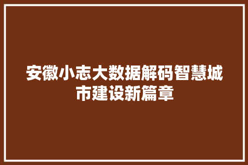安徽小志大数据解码智慧城市建设新篇章