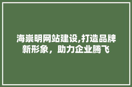 海崇明网站建设,打造品牌新形象，助力企业腾飞