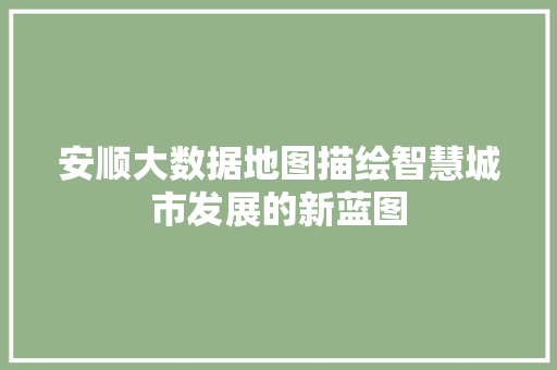 安顺大数据地图描绘智慧城市发展的新蓝图