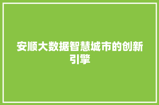 安顺大数据智慧城市的创新引擎