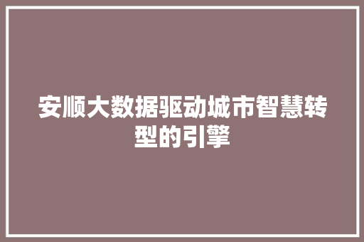 安顺大数据驱动城市智慧转型的引擎