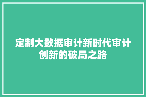 定制大数据审计新时代审计创新的破局之路