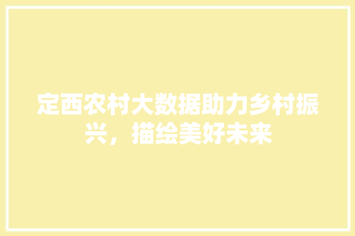 定西农村大数据助力乡村振兴，描绘美好未来