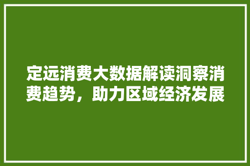 定远消费大数据解读洞察消费趋势，助力区域经济发展