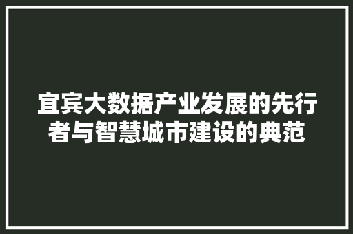 宜宾大数据产业发展的先行者与智慧城市建设的典范