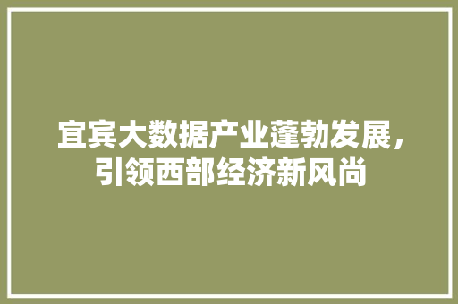 宜宾大数据产业蓬勃发展，引领西部经济新风尚