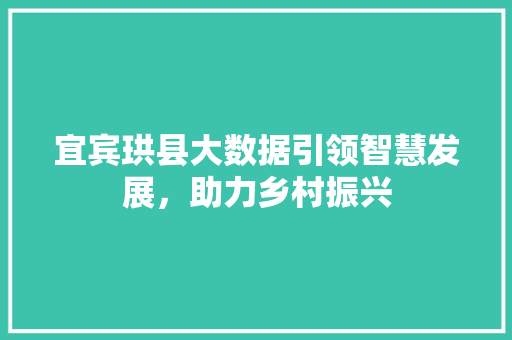 宜宾珙县大数据引领智慧发展，助力乡村振兴