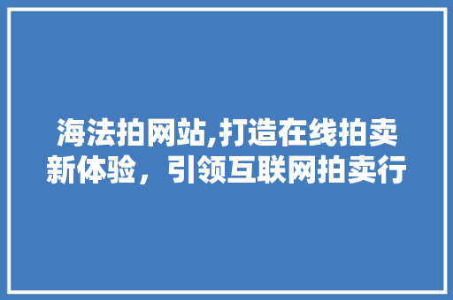 海法拍网站,打造在线拍卖新体验，引领互联网拍卖行业新潮流