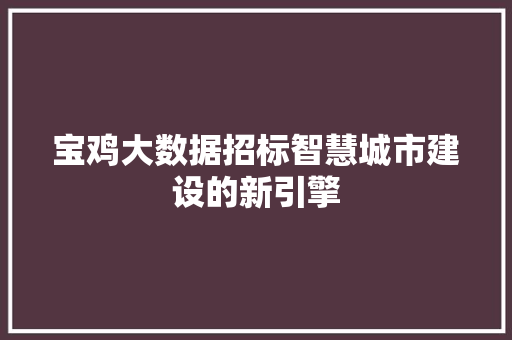 宝鸡大数据招标智慧城市建设的新引擎