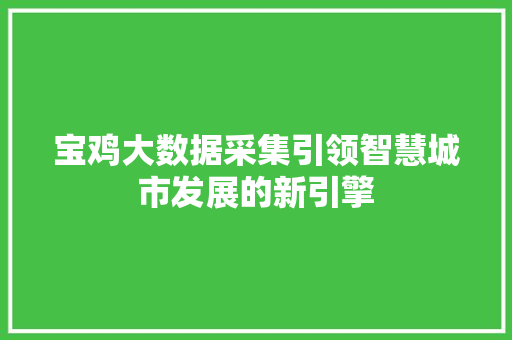 宝鸡大数据采集引领智慧城市发展的新引擎