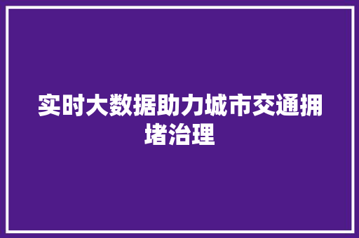 实时大数据助力城市交通拥堵治理