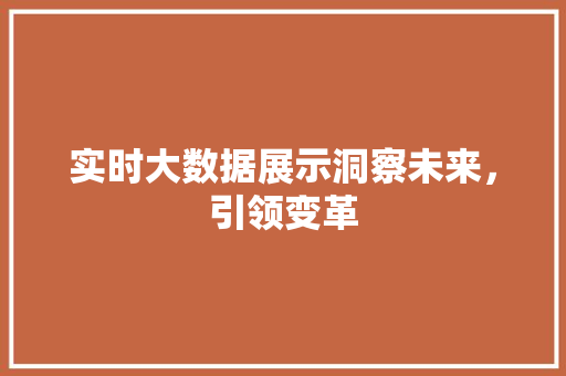 实时大数据展示洞察未来，引领变革