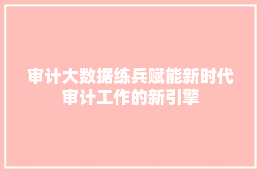 审计大数据练兵赋能新时代审计工作的新引擎