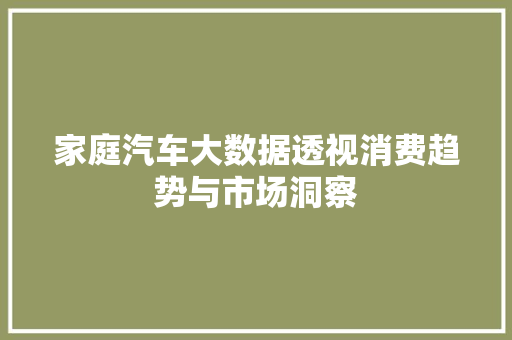 家庭汽车大数据透视消费趋势与市场洞察