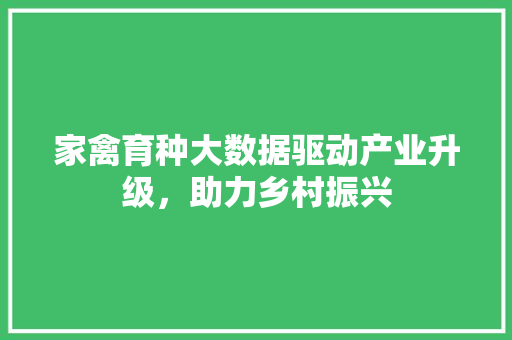 家禽育种大数据驱动产业升级，助力乡村振兴