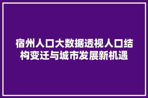 宿州人口大数据透视人口结构变迁与城市发展新机遇