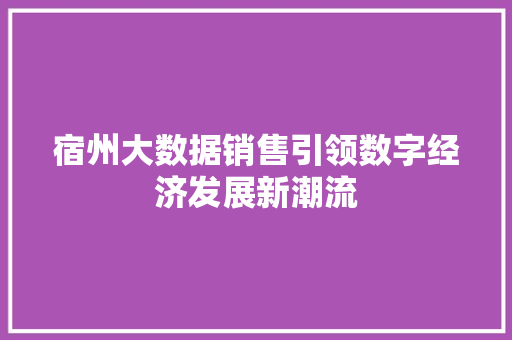 宿州大数据销售引领数字经济发展新潮流