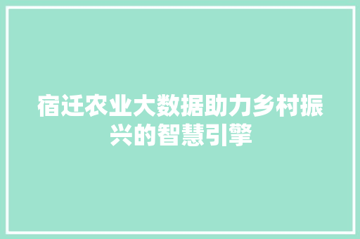 宿迁农业大数据助力乡村振兴的智慧引擎