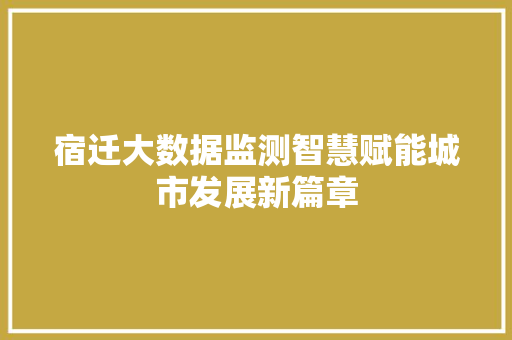 宿迁大数据监测智慧赋能城市发展新篇章