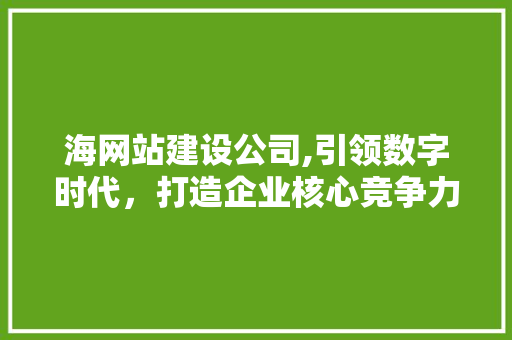 海网站建设公司,引领数字时代，打造企业核心竞争力
