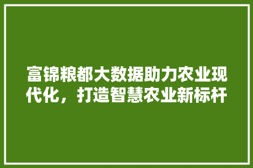 富锦粮都大数据助力农业现代化，打造智慧农业新标杆