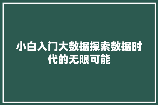 小白入门大数据探索数据时代的无限可能