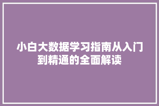 小白大数据学习指南从入门到精通的全面解读