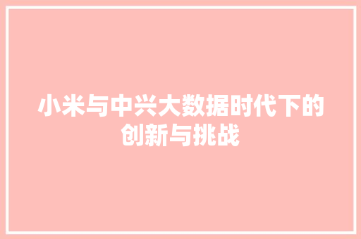 小米与中兴大数据时代下的创新与挑战