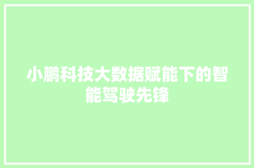 小鹏科技大数据赋能下的智能驾驶先锋