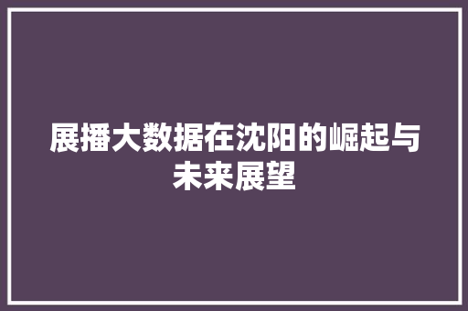 展播大数据在沈阳的崛起与未来展望