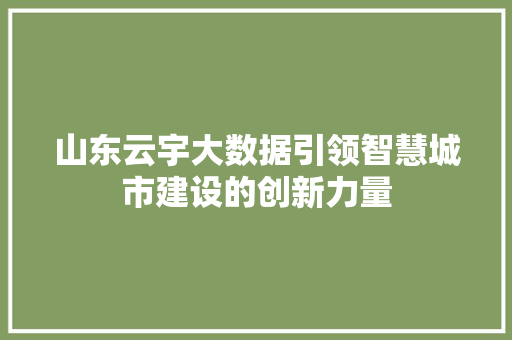 山东云宇大数据引领智慧城市建设的创新力量