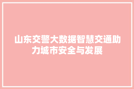 山东交警大数据智慧交通助力城市安全与发展