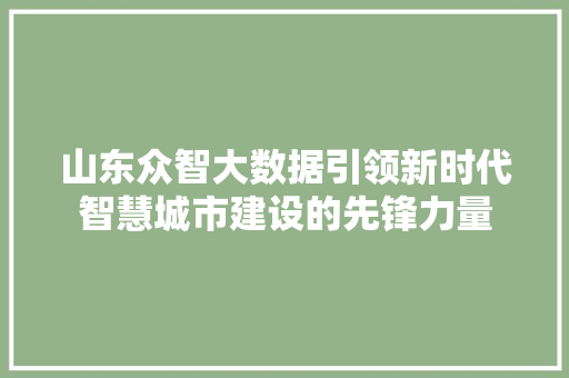 山东众智大数据引领新时代智慧城市建设的先锋力量