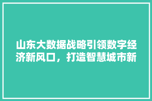 山东大数据战略引领数字经济新风口，打造智慧城市新标杆