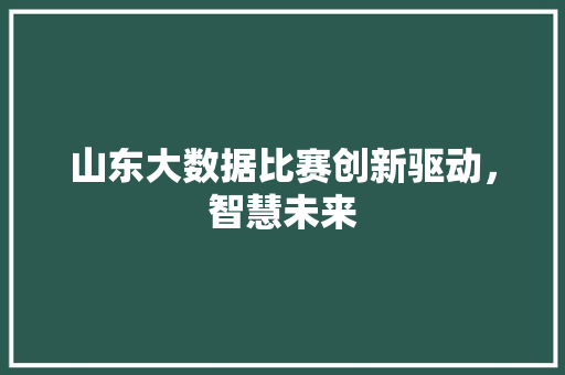 山东大数据比赛创新驱动，智慧未来