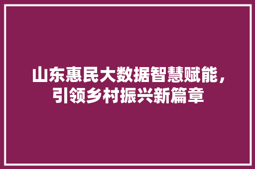 山东惠民大数据智慧赋能，引领乡村振兴新篇章