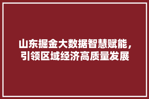 山东掘金大数据智慧赋能，引领区域经济高质量发展