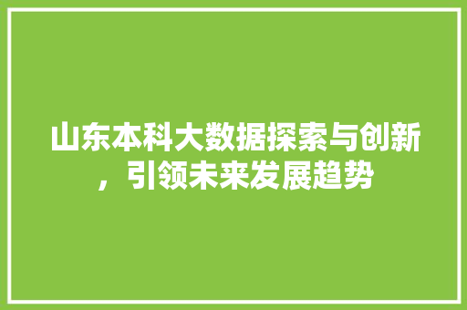 山东本科大数据探索与创新，引领未来发展趋势