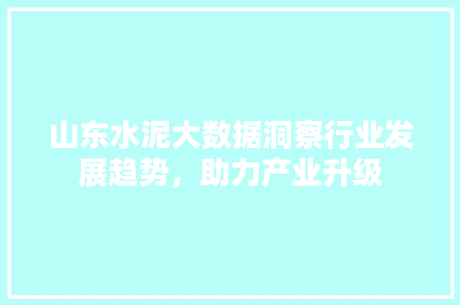 山东水泥大数据洞察行业发展趋势，助力产业升级