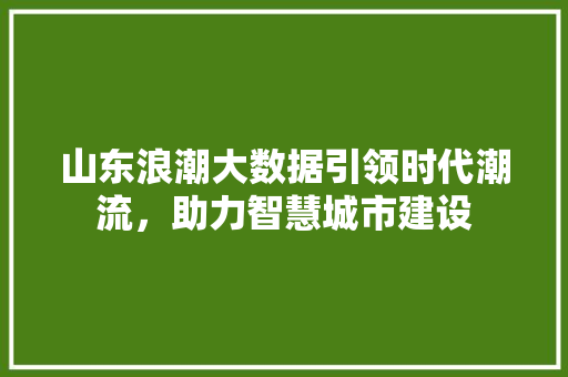 山东浪潮大数据引领时代潮流，助力智慧城市建设