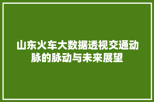 山东火车大数据透视交通动脉的脉动与未来展望